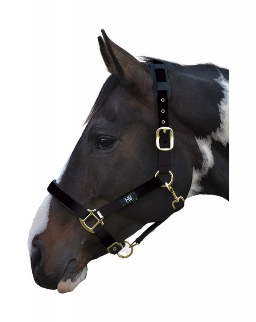 Hy Deluxe Padded Head Collar (Black)