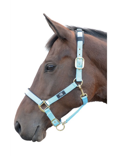 Hy Deluxe Padded Head Collar (Bright Blue)