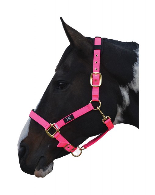 Hy Deluxe Padded Head Collar (Hot Pink)