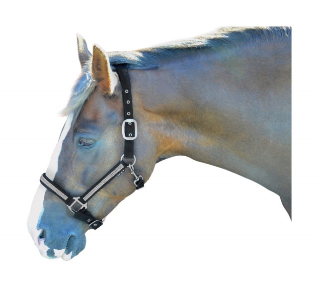 Hy Diamante Head Collar (Black/Diamante)