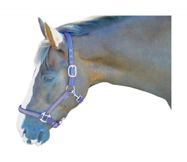 Hy Diamante Head Collar (Brilliant Blue/Diamante)