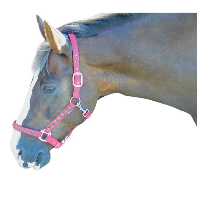 Hy Diamante Head Collar (Pink/Diamante)