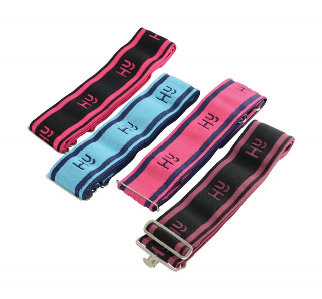 Hy Elasticated Surcingle (Baby Blue)