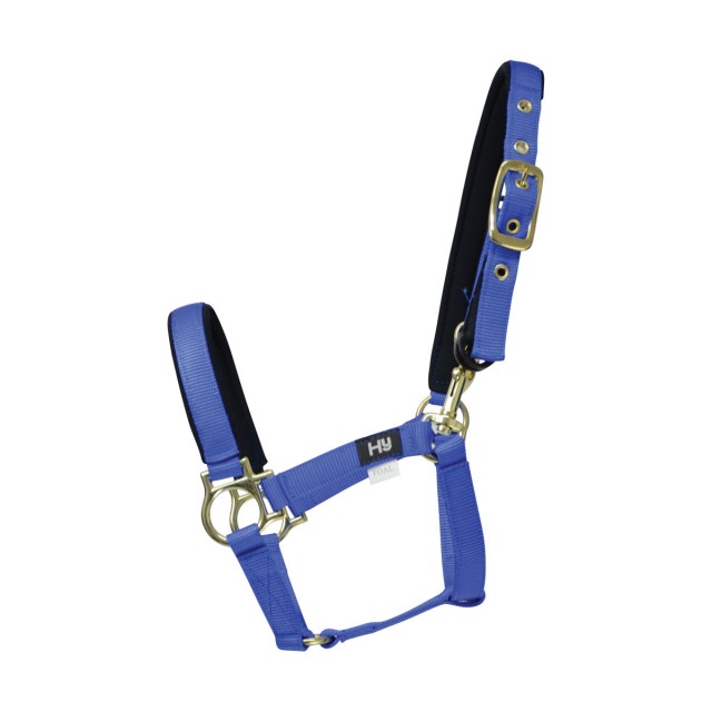 Hy Fieldsafe Small Pony & Foal Head Collar (Royal Blue)