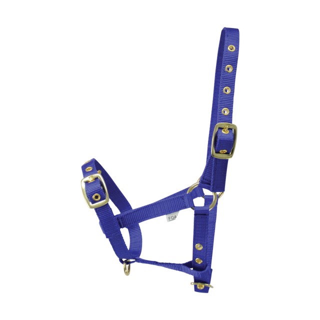 Hy Foal Head Collar (Blue)