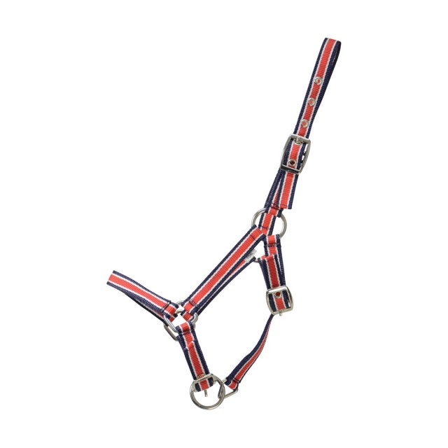 Hy Foal Plus Head Collar (Red/Navy)