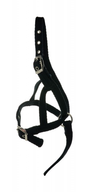 Hy Foal Slip Halter (Black)