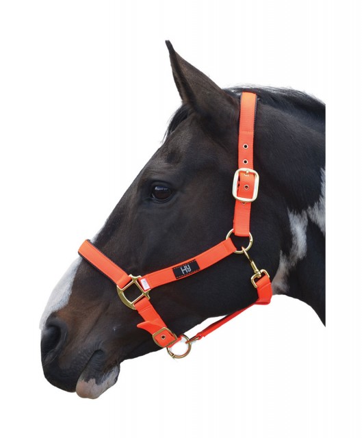 Hy Grand Prix Head Collar (Hot Orange)