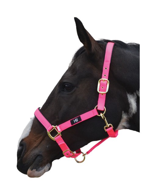 Hy Grand Prix Head Collar (Hot Pink)