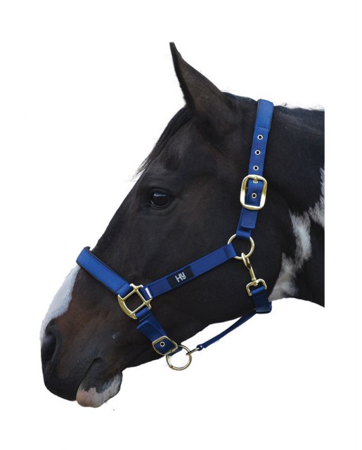 Hy Grand Prix Head Collar (Navy)