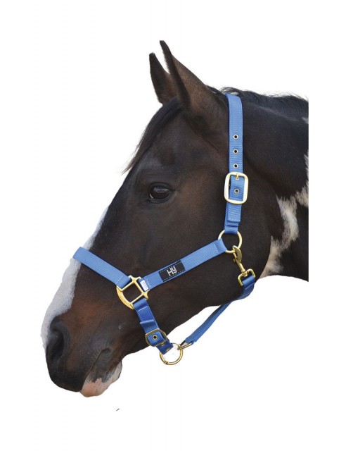 Hy Head Collar (Blue)