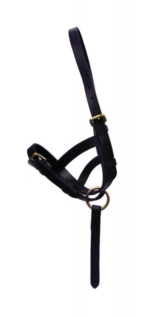 Hy Leather Foal Slip (Black)