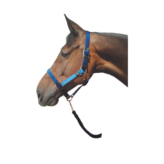 Hy Metallic Look Head Collar (Dark Blue/Light Blue)