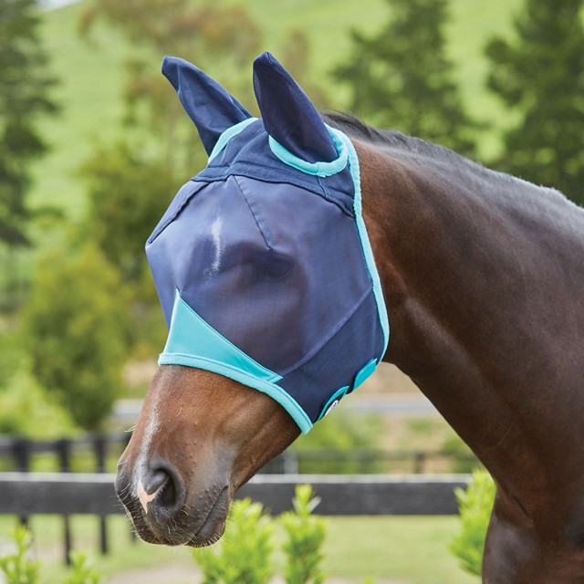 Weatherbeeta Comfitec Fine Mesh Mask With Ears (Navy/Turquoise)