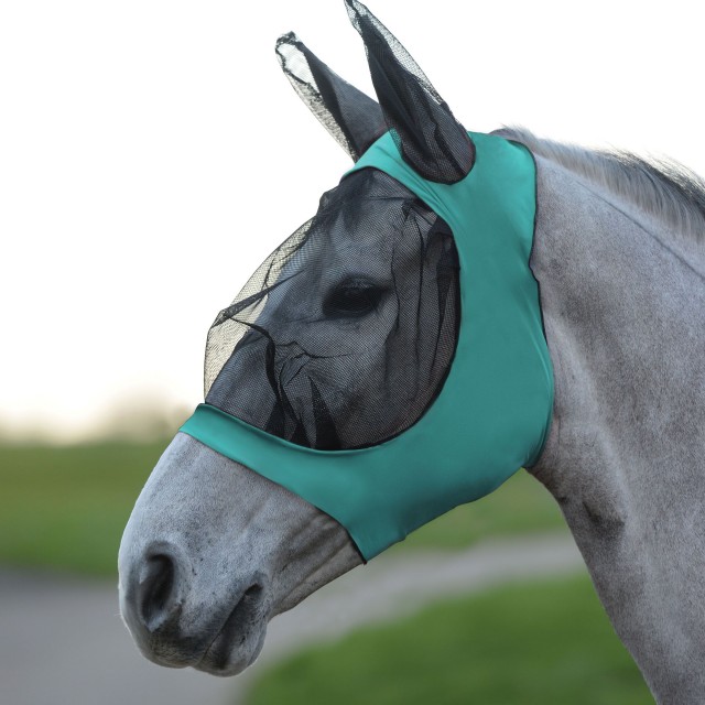 Weatherbeeta Stretch Eye Saver With Ears (Turquoise/Black)