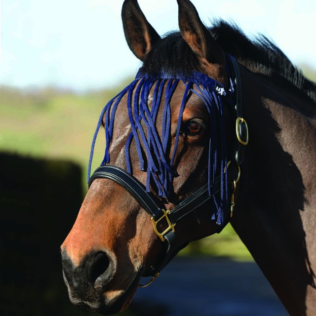 Saxon Fly Fringe (Navy)