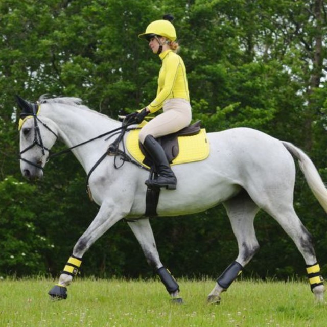 Yellow Riding Shirt Woof Wear Ladies Performance Riding Shirt (Sunshine Yellow) - Wychanger ...