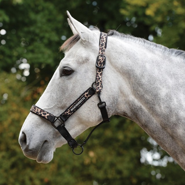 Weatherbeeta Leopard Headcollar (Brown Leopard Print)