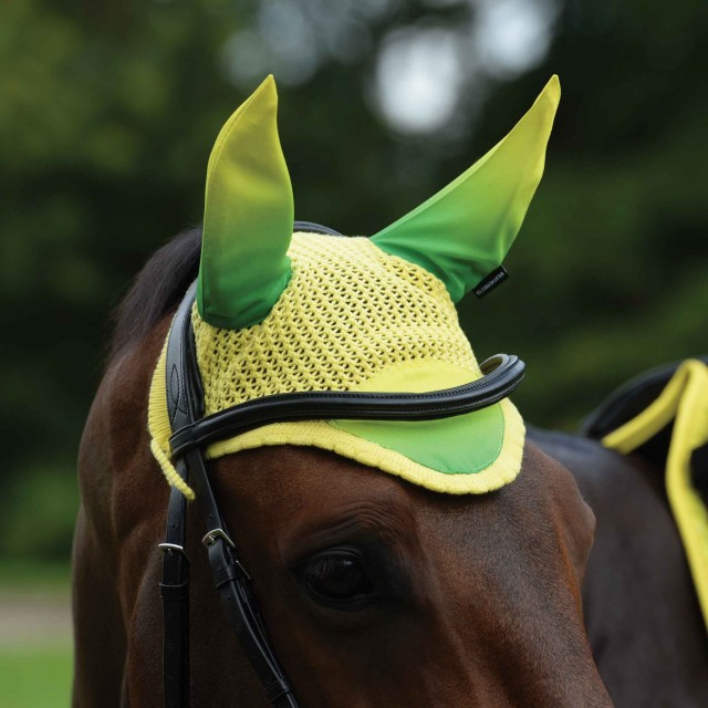 Weatherbeeta Prime Ombre Ear Bonnet (Sunflower Field)