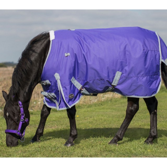 Mark Todd Lightweight Pony Turnout Rug (Purple & Grey)