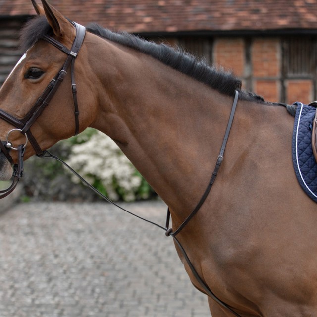 Mark Todd (Clearance) Standing Martingale (Black)