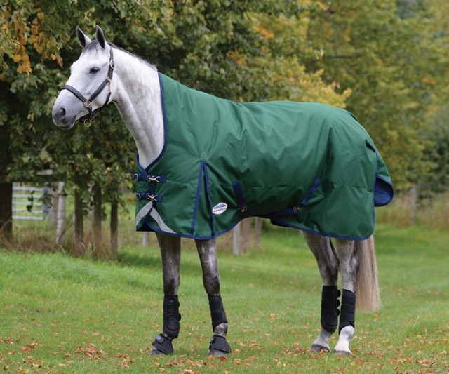 Weatherbeeta ComfiTec Plus Dynamic II Turnout High Neck 220g Medium (Hunter/Navy)