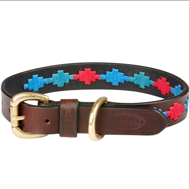 Weatherbeeta Polo Leather Dog Collar (Beaufort Brown/Emerald/Pink/Blue)