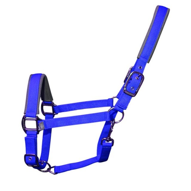 Woof Wear Contour Head Collar (Electric Blue)