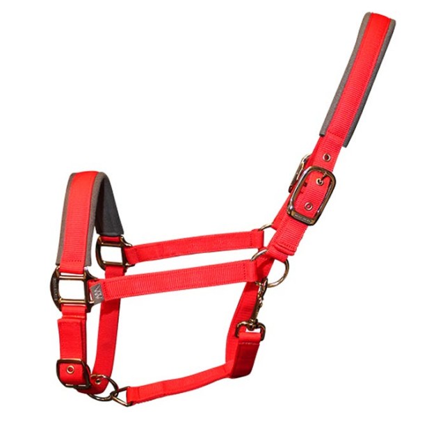 Woof Wear Contour Head Collar (Royal Red)