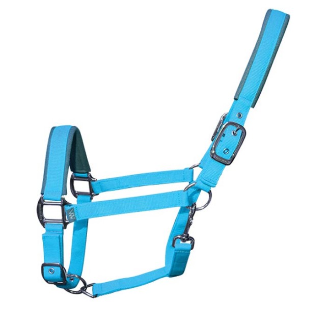 Woof Wear Contour Head Collar (Turquoise)