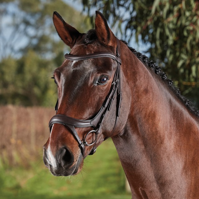 Collegiate Comfitec Vogue Anatomical Bridle (Brown)