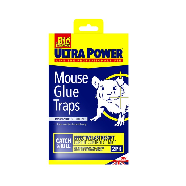 The Big Cheese Ultra Power Mouse Glue Trap