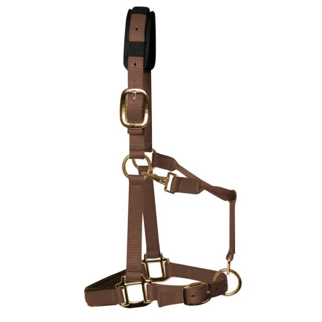 KM Elite Padded Headcollar (Brown)