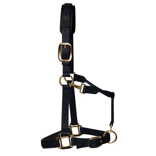 KM Elite Padded Headcollar (Black)