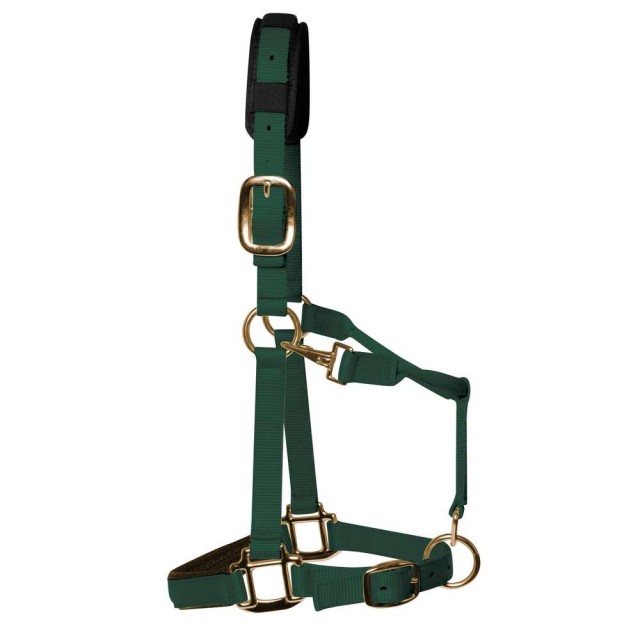 KM Elite Padded Headcollar (Hunter Green)