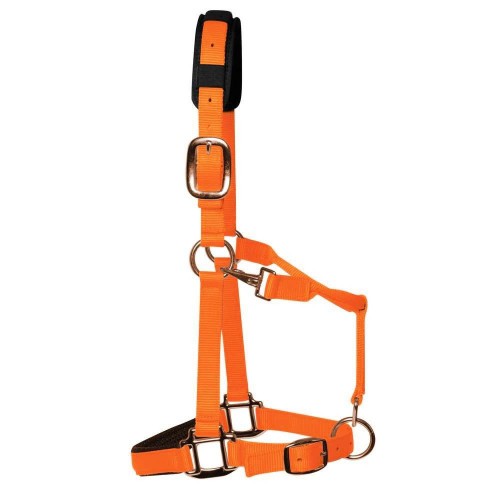 KM Elite Padded Headcollar (Hot Orange)