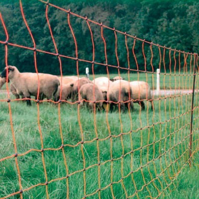 Rutland Sheep Net Orange