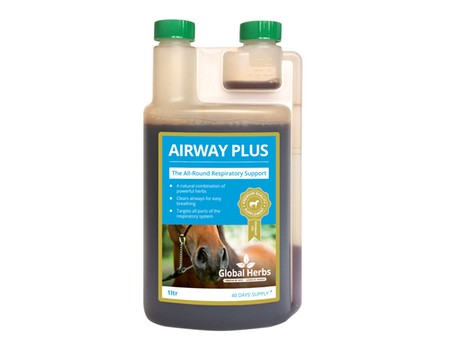 Global Herbs Airway Plus Liquid