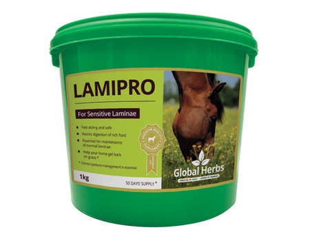 Global Herbs LamiPro Powder