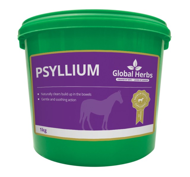 Global Herbs Psyllium