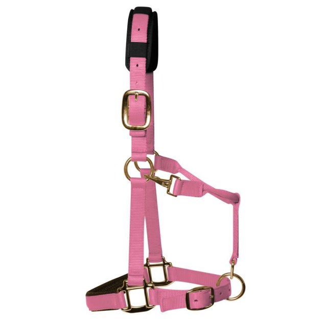 KM Elite Padded Headcollar (Baby Pink)