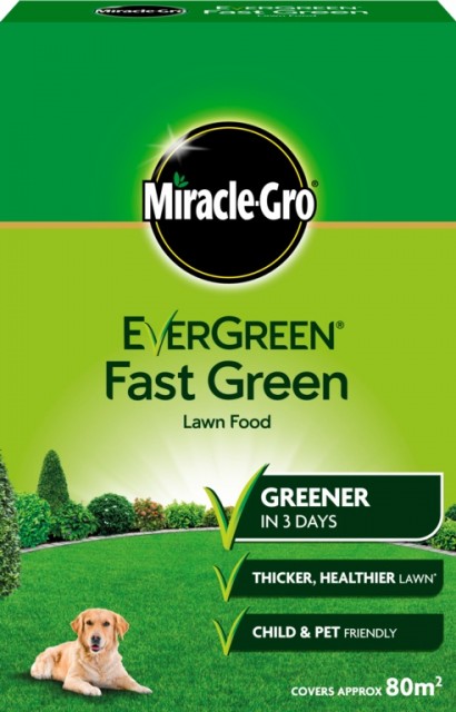 Miracle Gro Evergreen Fast Green Box