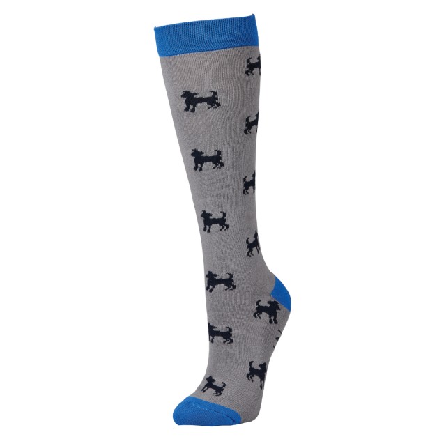 Dublin Single Pack Socks (Cobalt Dog)