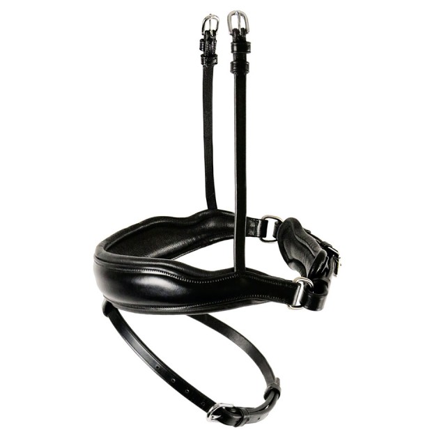 Schockemohle Stanton Select Crank Flash Noseband