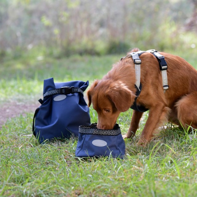 Weatherbeeta Explorer Dog Water/Feed Bowl (Navy)