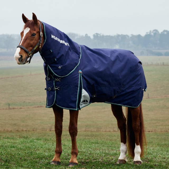 Weatherbeeta Comfitec Plus Dynamic Detach-a-Neck Turnout 0g (Navy/Forest Green)