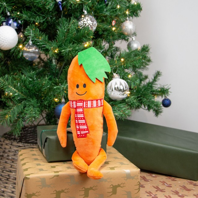 Ancol Katie the Carrot Dog Toy