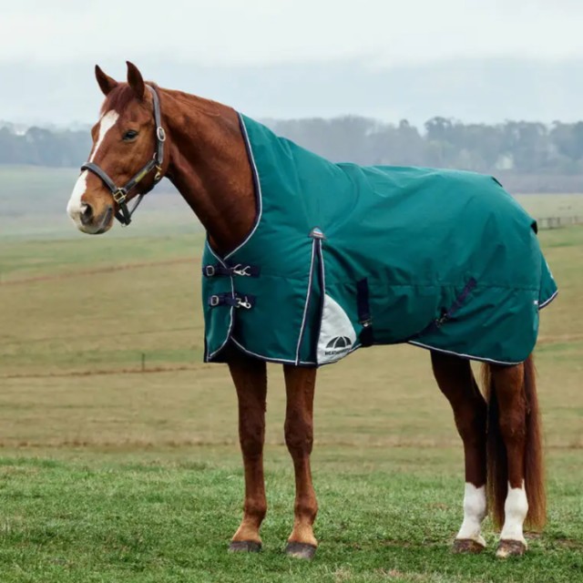 Weatherbeeta Comfitec Plus Dynamic High Neck Turnout 100g (Forest Green/Navy)