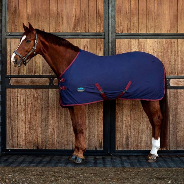 Weatherbeeta ComFiTec Cotton Sheet Standard Neck (Navy/Burgundy)