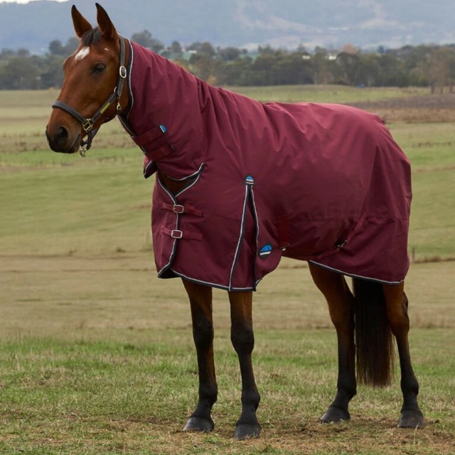 Weatherbeeta ComFiTec Prelim Turnout Combo Neck 0g (Burgundy/Navy)